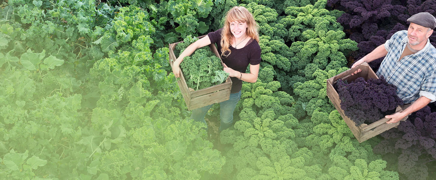 Nachhaltigkeit bei apetito