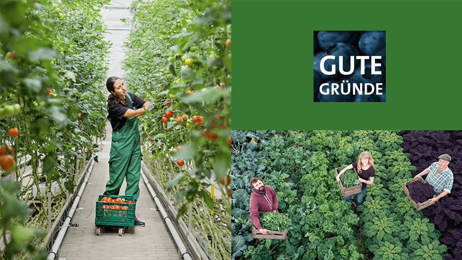 apetito-gute gruende