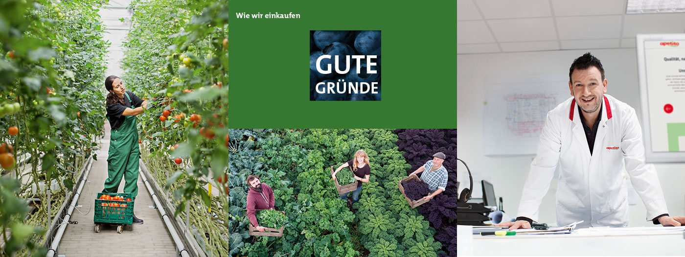 Gute Gründe Vorschaubild