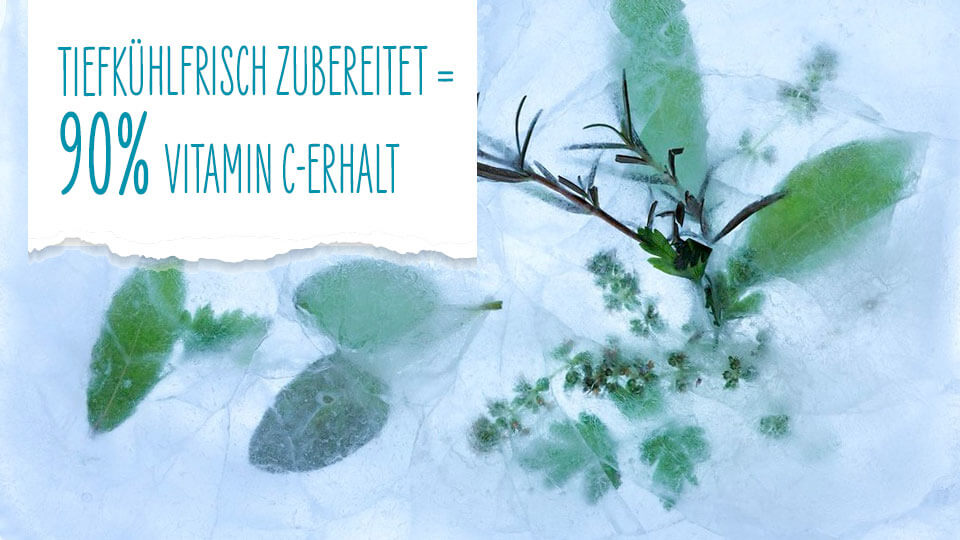 betriebe-produkte-tiefkuehlfrische