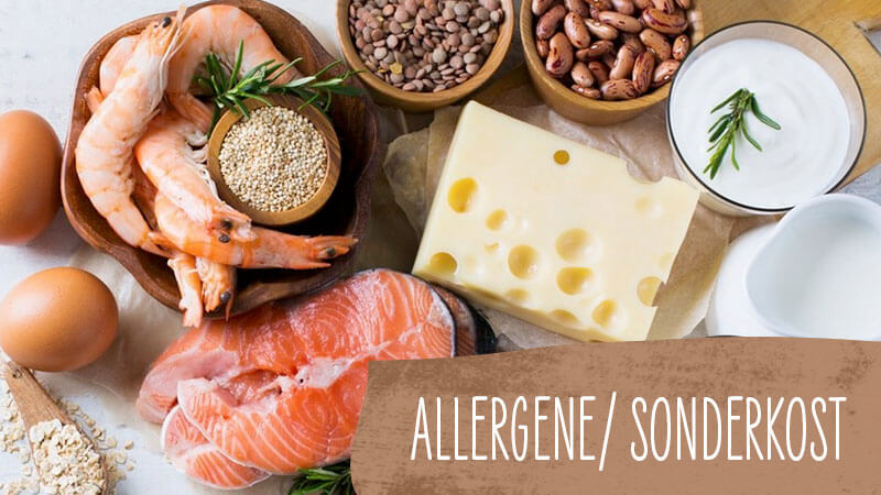 betriebsverpflegung-allergene