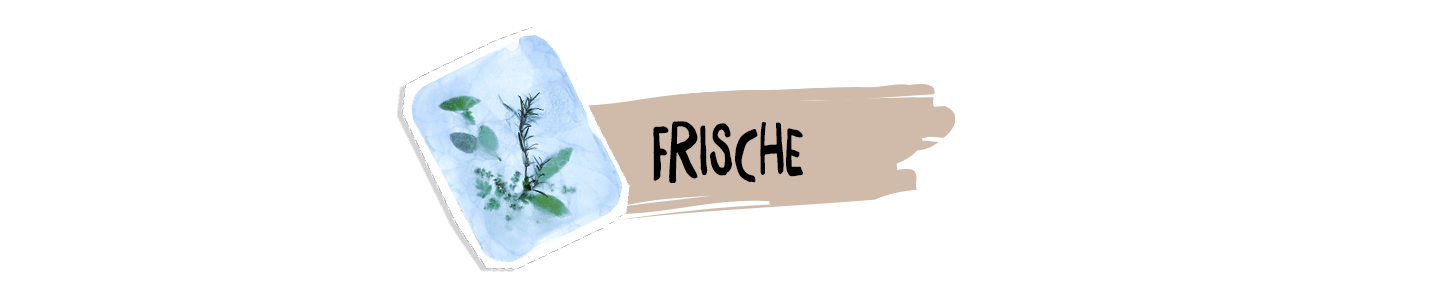 schule_apetito_ueberschrift_frische